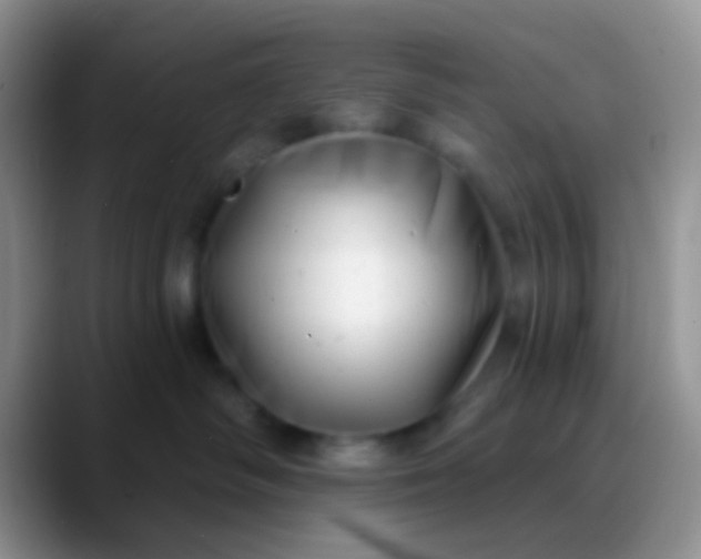 X0000089880334200707192001