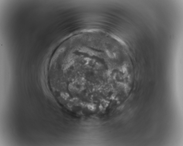 X0000089880337200707192000