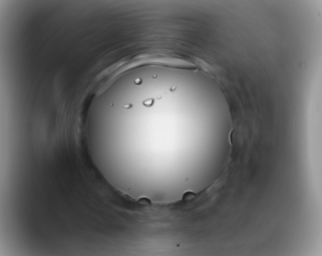 X0000089880338200707192000