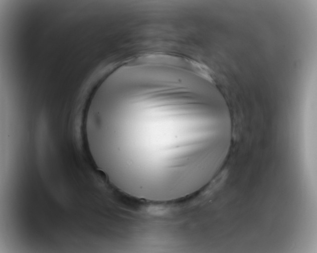 X0000089880341200707192000