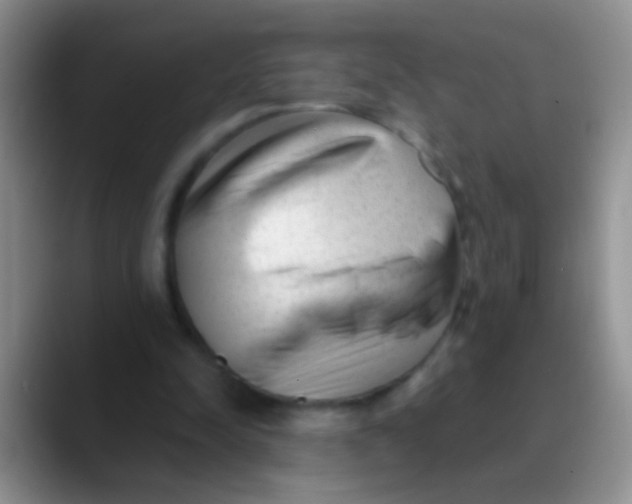 X0000089880342200707192000