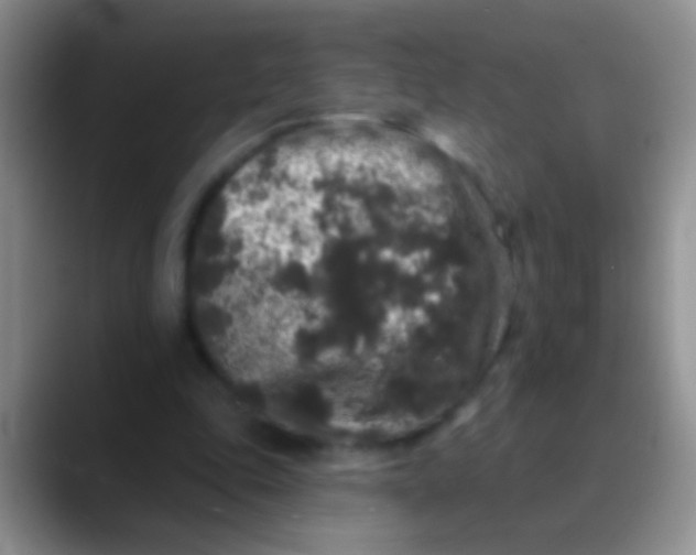 X0000089880343200707192000