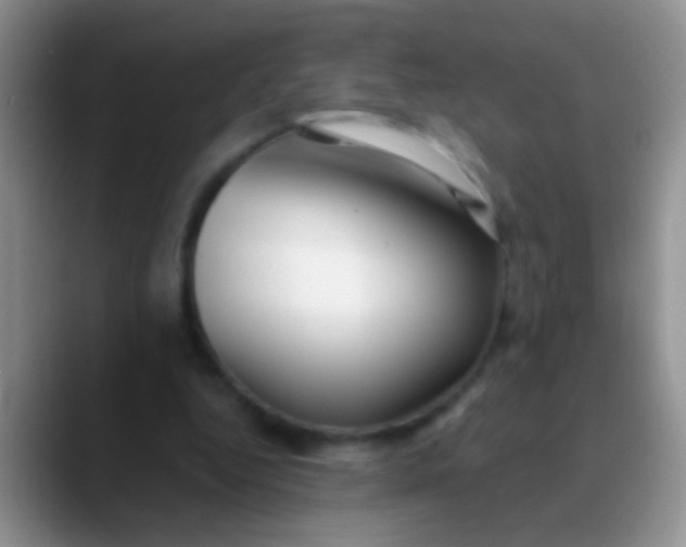 X0000089880344200707192000