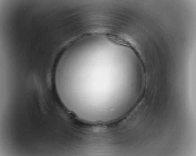 X0000089880345200707192000