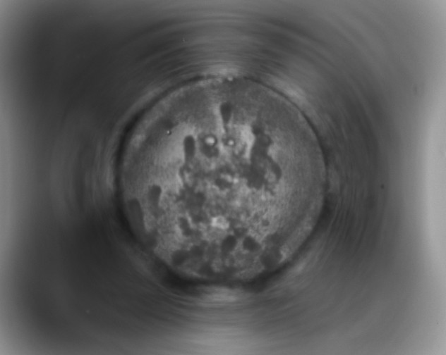 X0000089880347200707192000