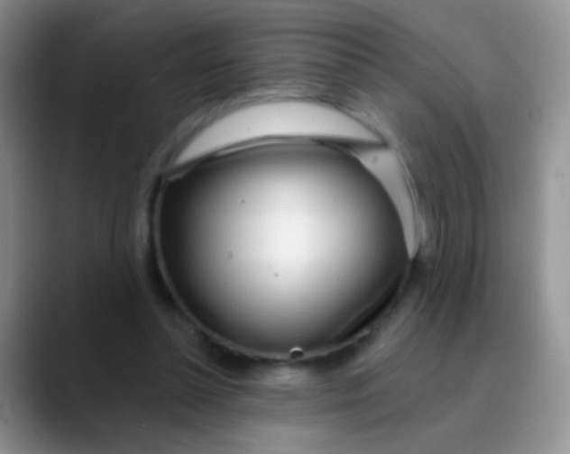 X0000089880348200707192000