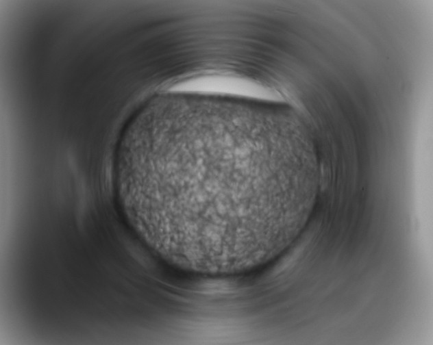 X0000089880349200707192000