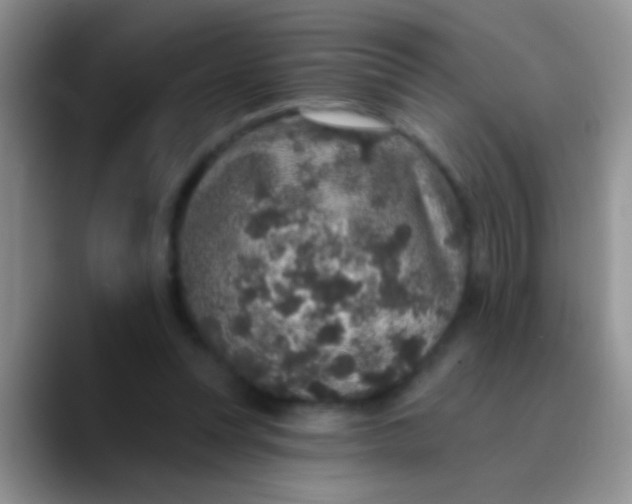 X0000089880351200707192000