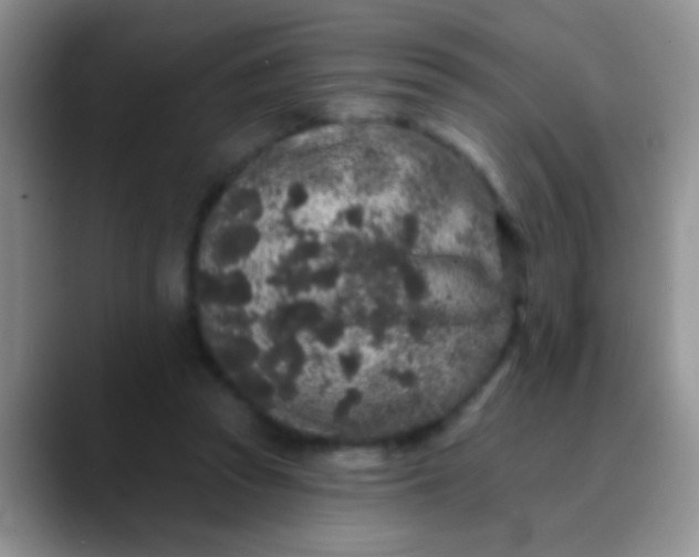 X0000089880353200707192000