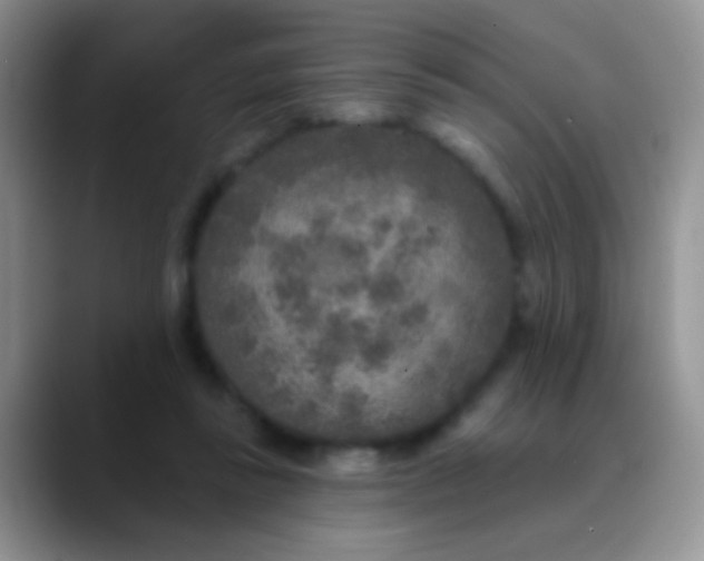 X0000089880355200707192000