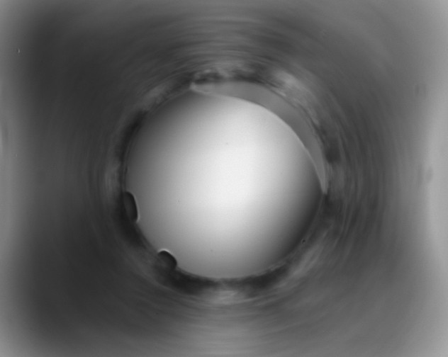 X0000089880356200707192000