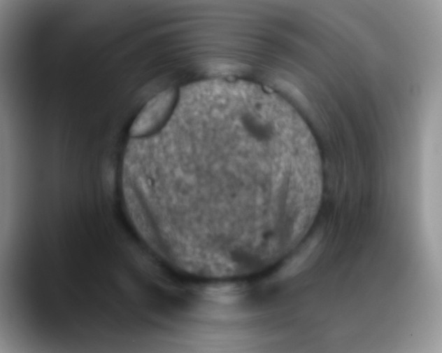 X0000089880357200707192000