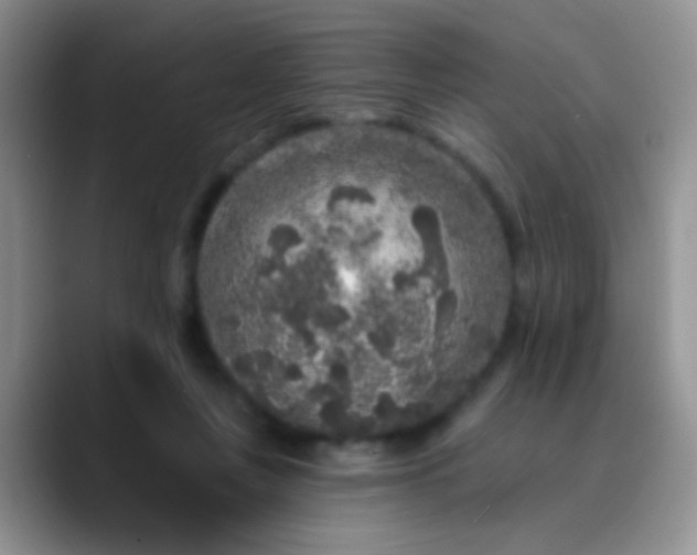 X0000089880359200707192000