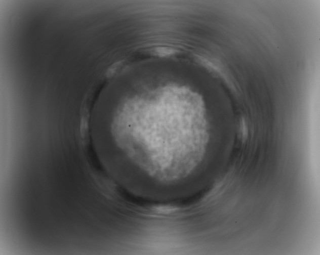 X0000089880360200707192000