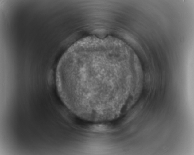 X0000089880361200707192000