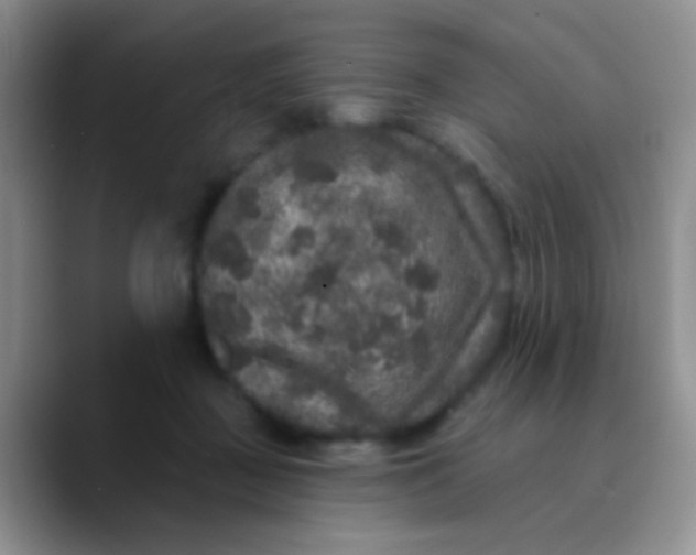 X0000089880363200707192000