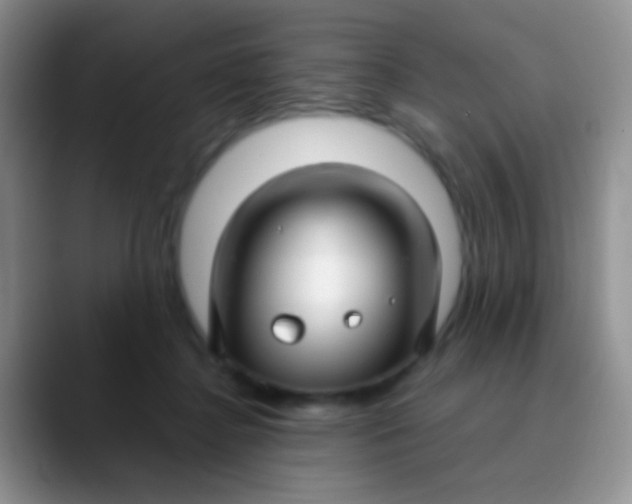 X0000089880364200707192000