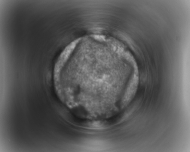 X0000089880365200707192000