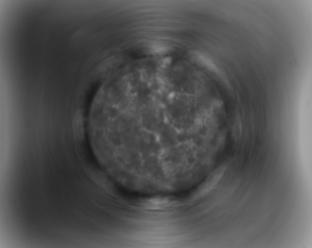 X0000089880366200707192000