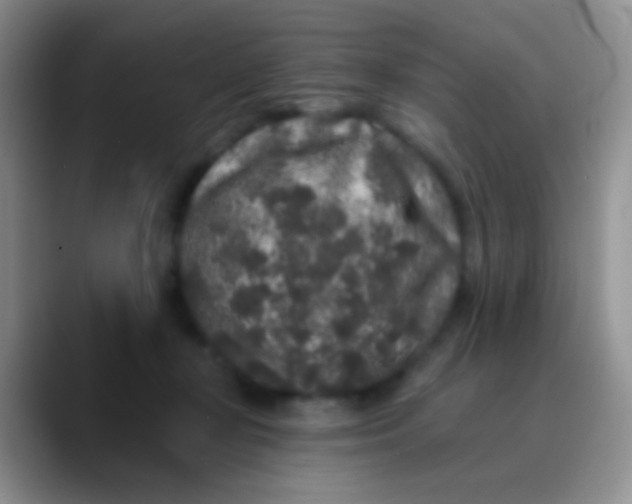 X0000089880367200707192000