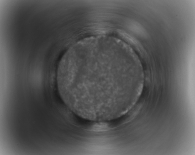 X0000089880369200707192000