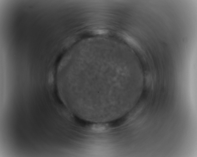 X0000089880373200707192000