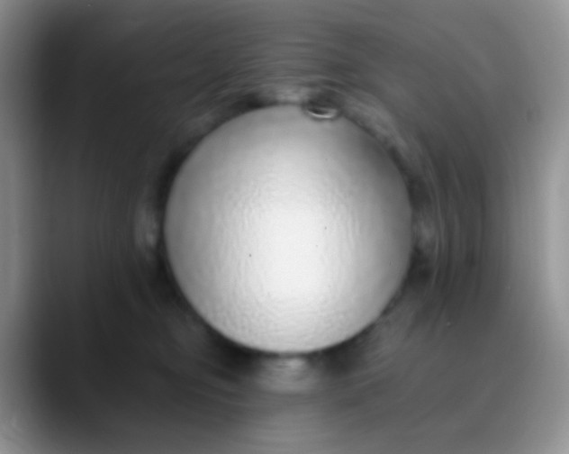 X0000089880374200707192000