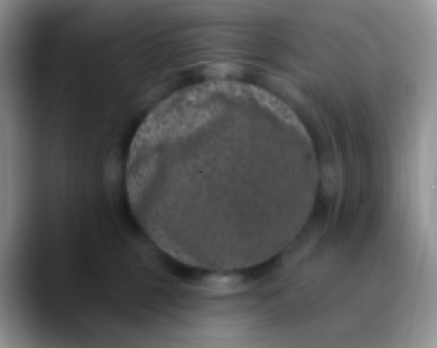 X0000089880375200707192000