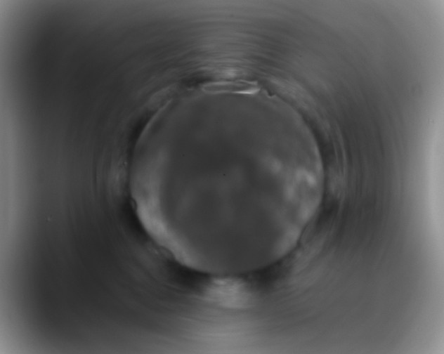 X0000089880376200707192000