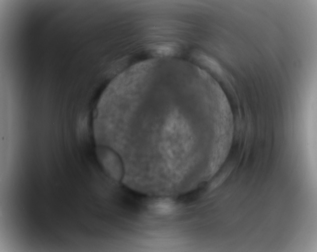 X0000089880377200707192000