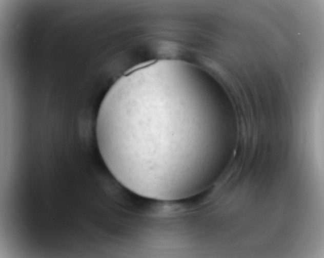 X0000089880379200707192001