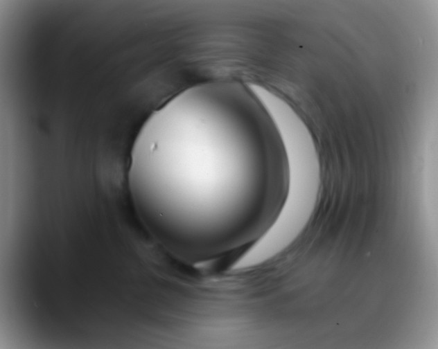 X0000089880380200707192001