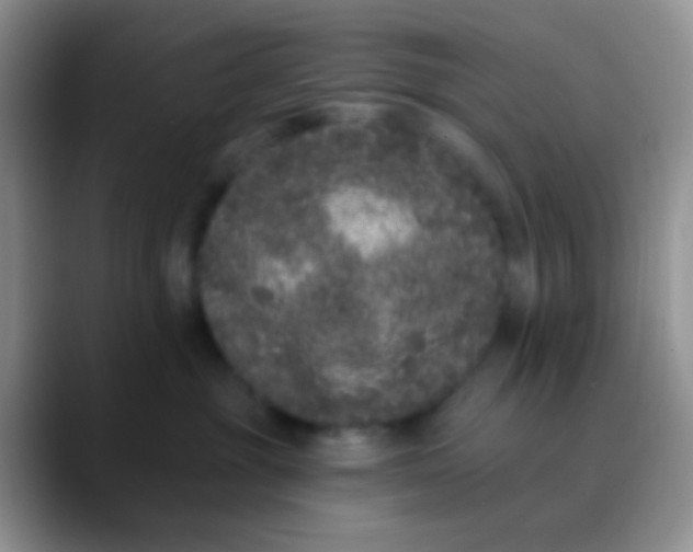 X0000089880381200707192001