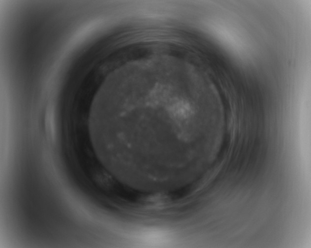 X0000089880383200707192001