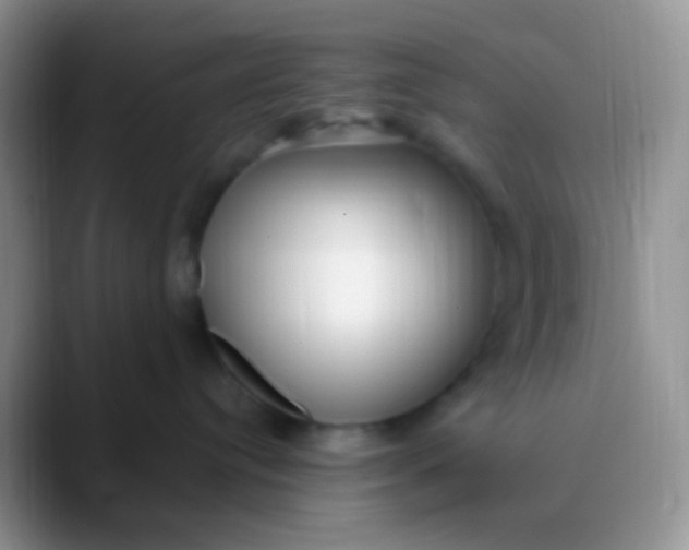 X0000089880384200707192001