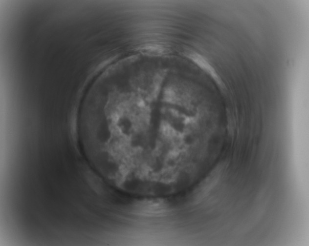 X0000089880386200707192000