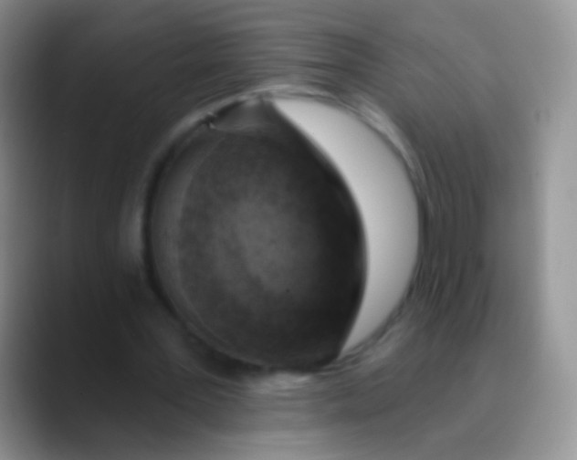 X0000089880387200707192000