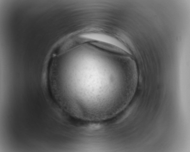 X0000089880388200707192000