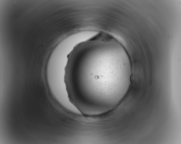 X0000089880389200707192000