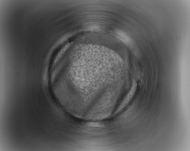 X0000089880392200707192000