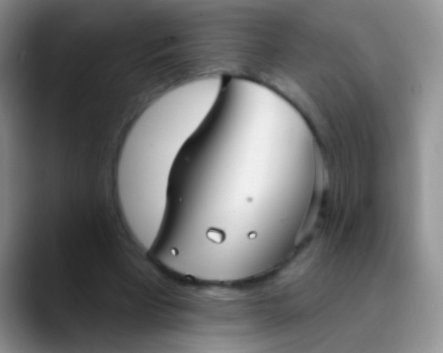 X0000089880393200707192000