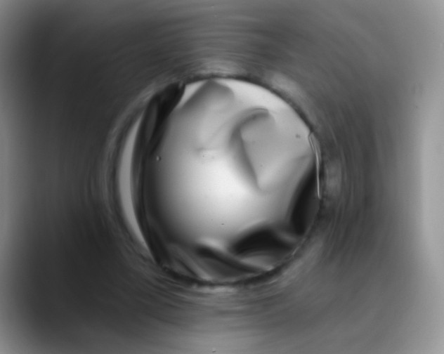 X0000089880395200707192000