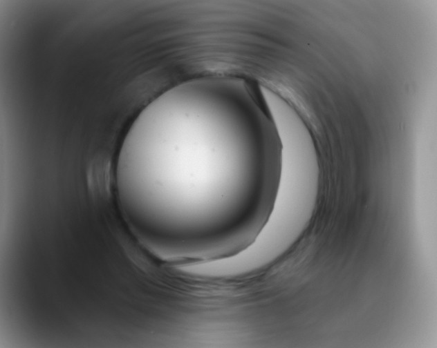 X0000089880397200707192000