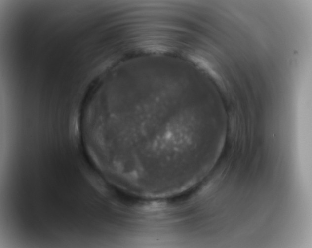 X0000089880398200707192000