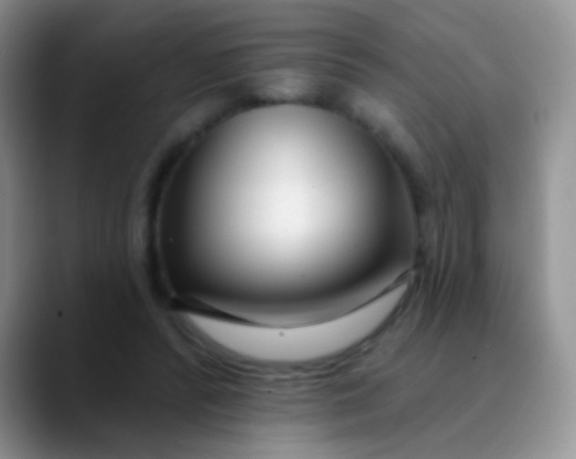 X0000089880400200707192000