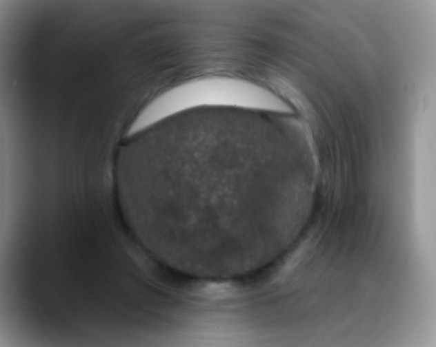 X0000089880401200707192000