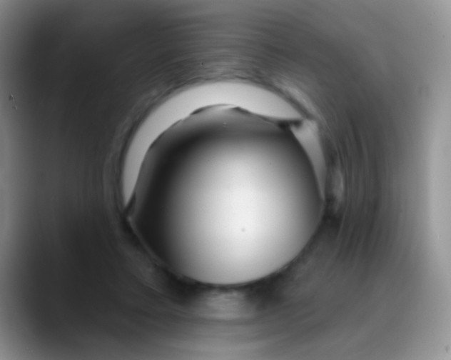 X0000089880403200707192000