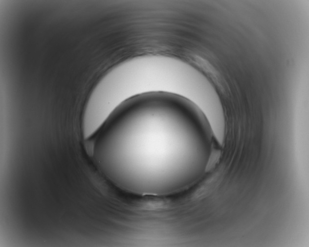 X0000089880405200707192000