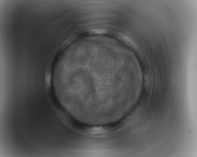 X0000089880406200707192000