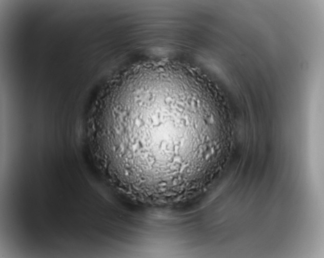 X0000089880408200707192000